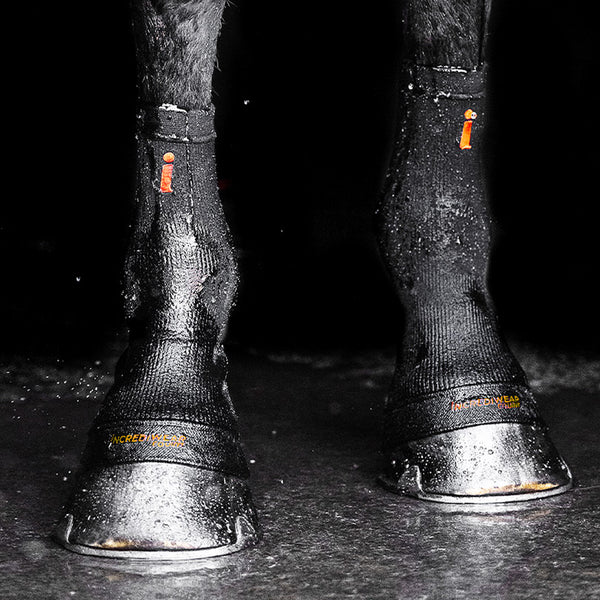 Incrediwear Equine Hoof Socks - Regeneration & Wellness for horses –  ESS Supplements